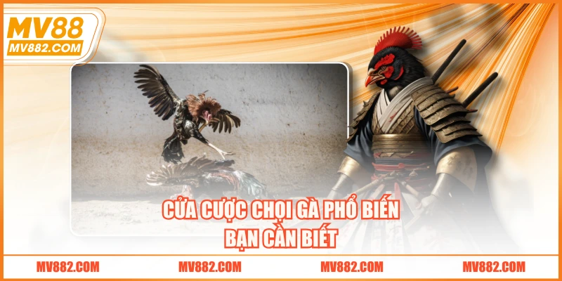 Cửa cược chọi gà phổ biến bạn cần biết